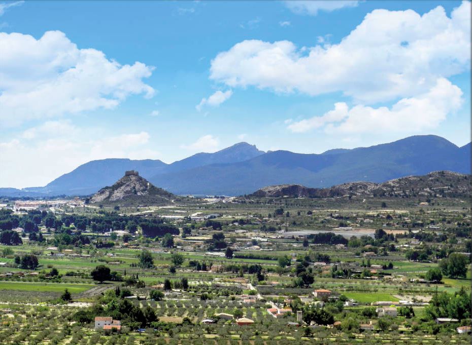La marjal d'onil fondo castell de castalla, foto del Centre Cultural Castellut