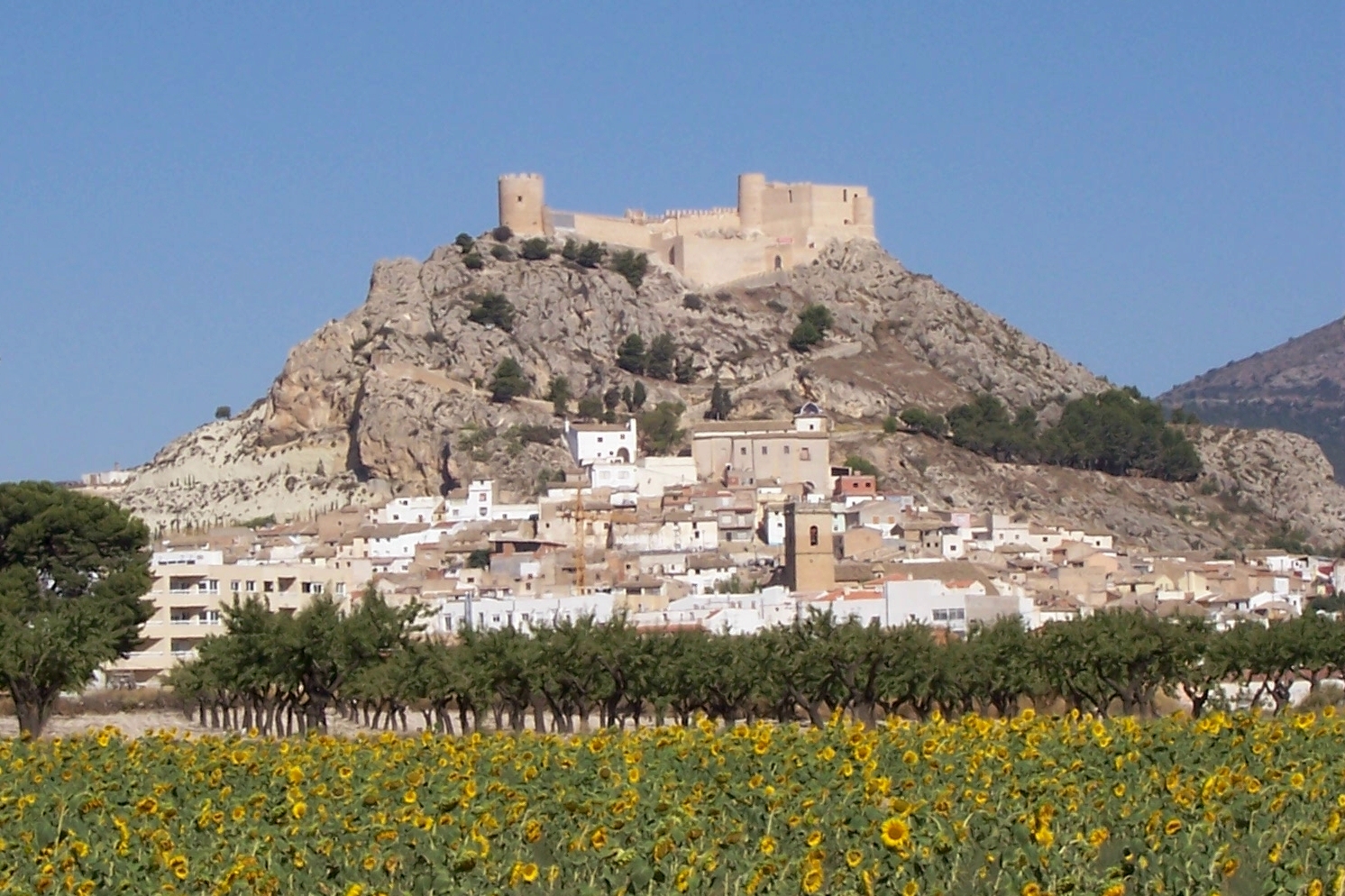 castell de castalla, juliol de 2006, despres de la restauracio
